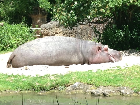 Zoo Basel by null