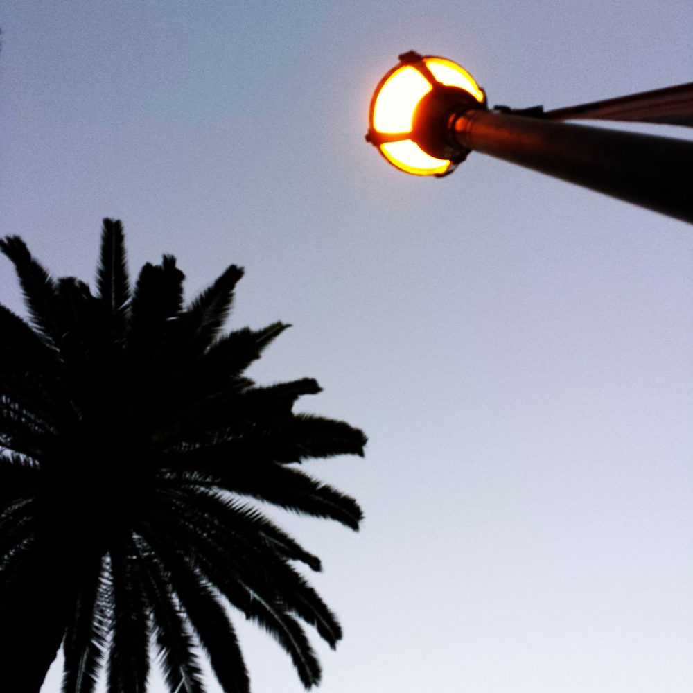 Temple City Park - Summer night at the park.... - Parks Near Me - Temple City, California Temple City Park - Summer night at the park.... - Parks Near Me - Temple City, California