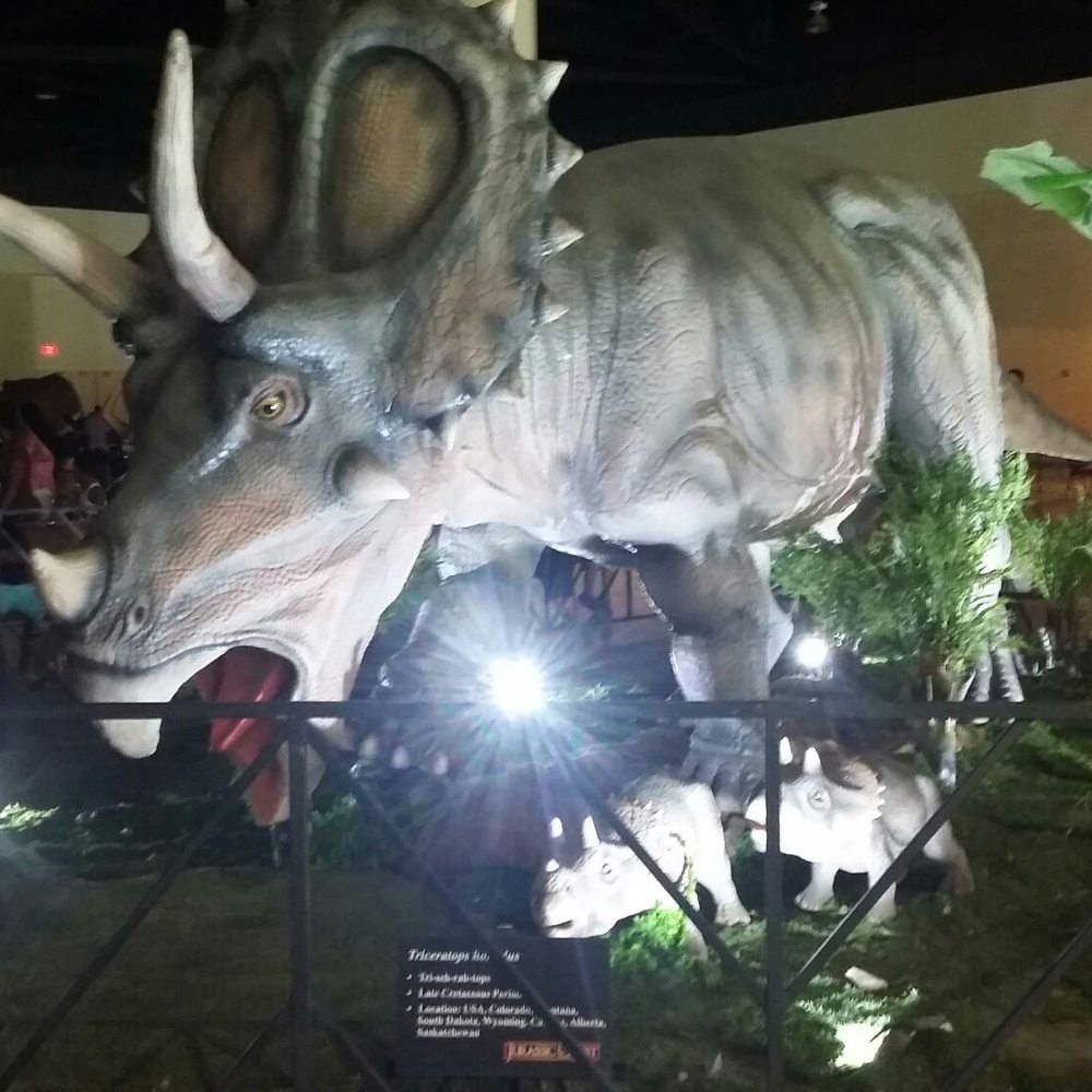 Ocean Center - Venues & Event Spaces Near Me - Daytona Beach, Florida Ocean Center - Venues & Event Spaces Near Me - Daytona Beach, Florida
