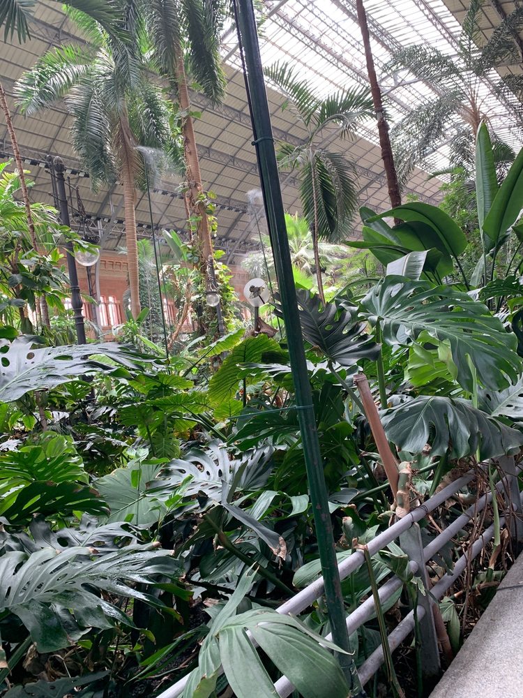 Jardín Tropical