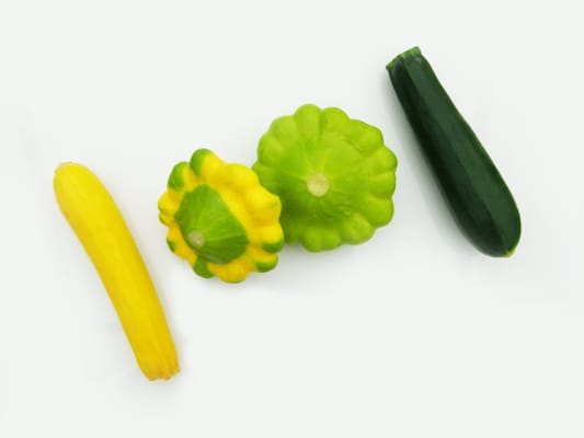 Blue Moon Acres Buckingham, PA by null