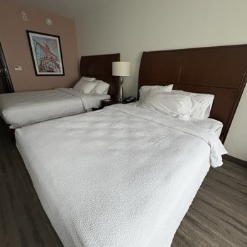 Hilton Garden Inn Roanoke - 2 queen beds - Hotels Near Me - Roanoke, Virginia