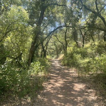 Ventura River Preserve - Oak shade by creek - Hiking Near Me - Ojai, California Ventura River Preserve - Oak shade by creek - Hiking Near Me - Ojai, California