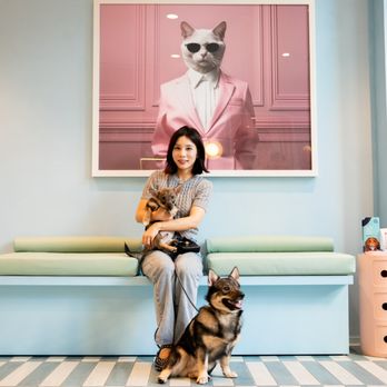 URvet Care - Veterinarians Near Me - New York, New York URvet Care - Veterinarians Near Me - New York, New York