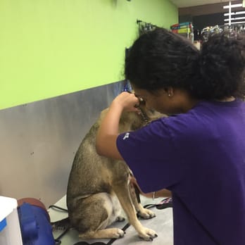 Bath & Biscuits - Pet Stores Near Me - Sacramento, California Bath & Biscuits - Pet Stores Near Me - Sacramento, California