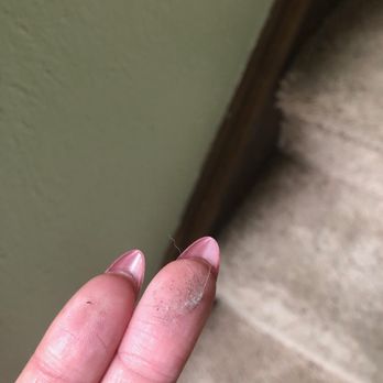Lupitas Services - Home Cleaning Near Me