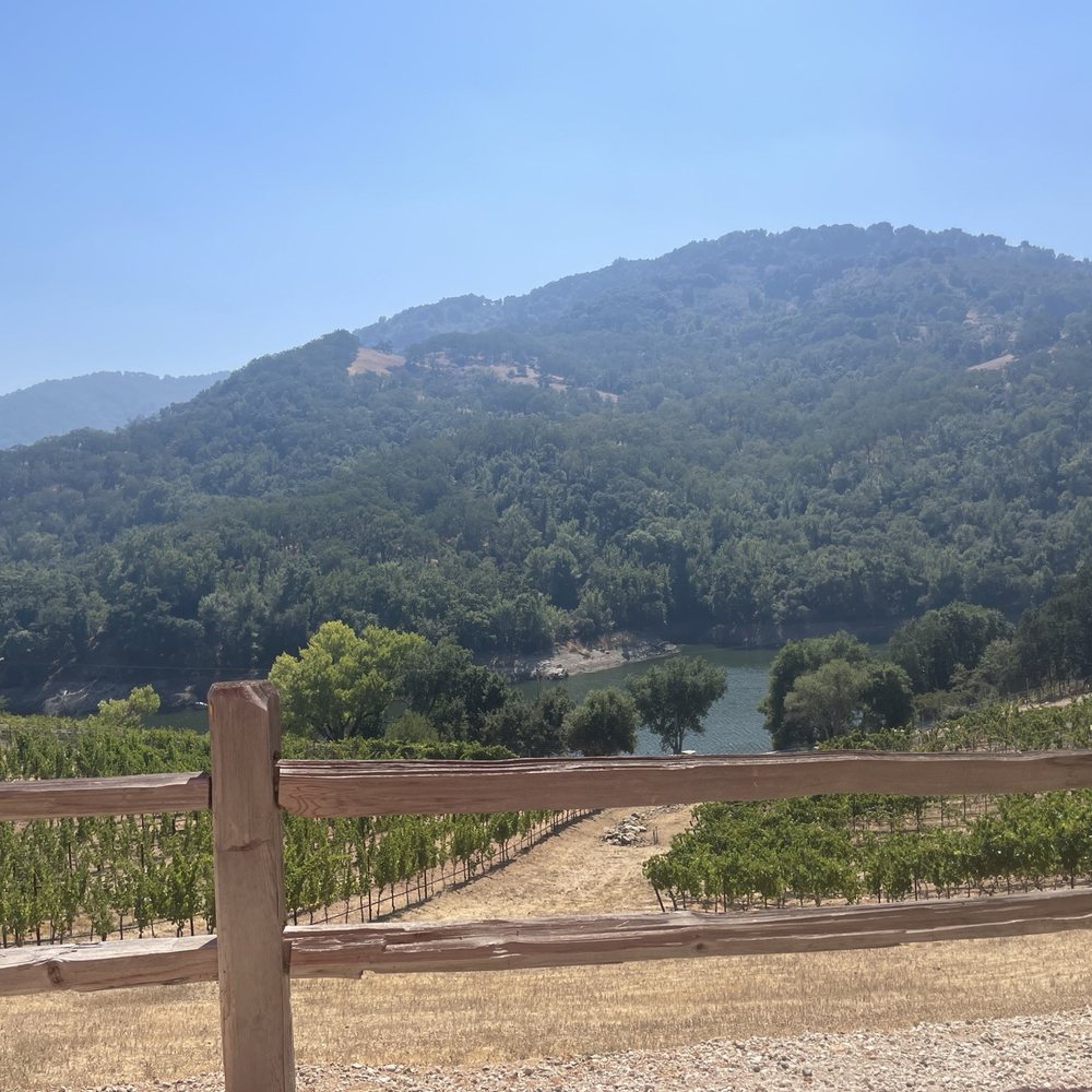 Alamitos Vineyards - Wine Tasting Room Near Me - San Jose, California