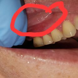 Implants & Periodontal Arts