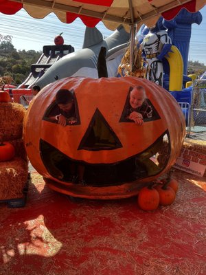 THE ROBLES PUMPKIN PATCH & CHRISTMAS TREES - 2134 Montebello Town Ctr