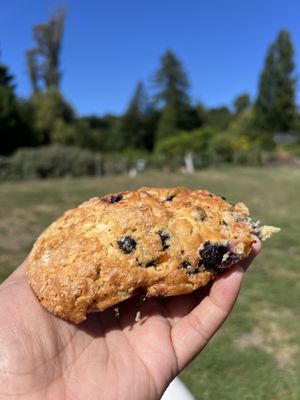 Wild Flour Bread by null