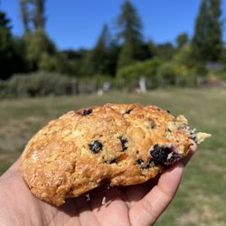 Wild Flour Bread - THE BEST SCONE. Blueberry apricot ricotta