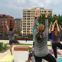 FOOD ROOF Farm - Join a yoga class at the FOOD ROOF Farm
