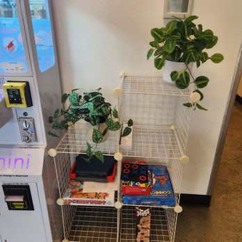 EM Boba & Coffee - Games that you can play as well as crane machine - Coffee & Tea Near Me - Lakewood, Washington
