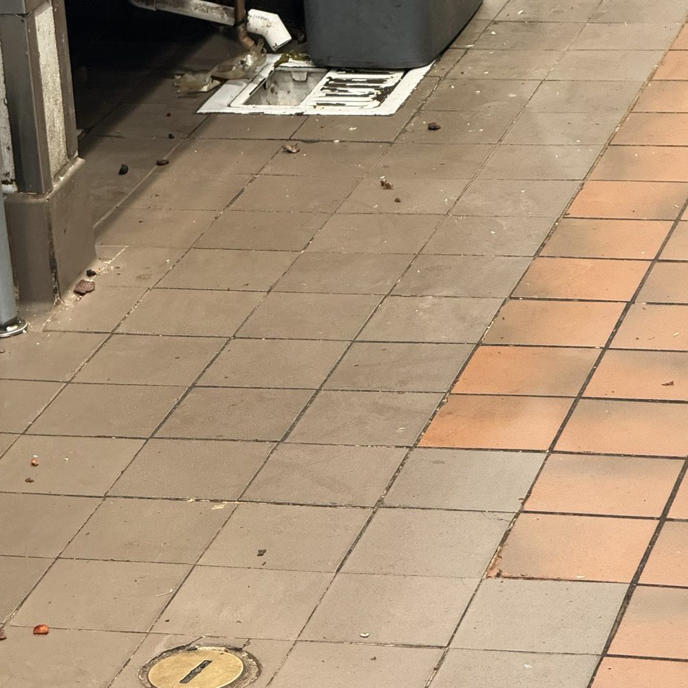 Tacos La Carreta - more shit on the floor - Tacos Near Me - Whittier, California Tacos La Carreta - more shit on the floor - Tacos Near Me - Whittier, California