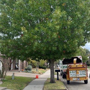Quality Tree Service - Tree trimming - Tree Services Near Me - Denton, Texas Quality Tree Service - Tree trimming - Tree Services Near Me - Denton, Texas