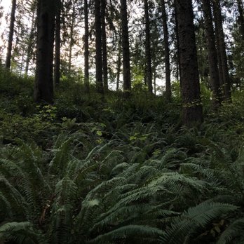Hoyt Arboretum - Botanical Gardens Near Me - Portland, Oregon