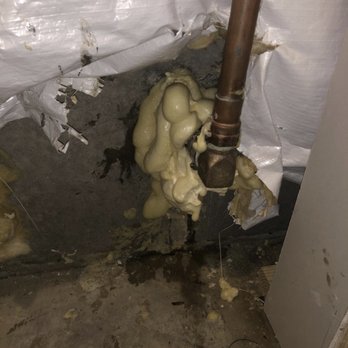 Guardian Termite & Pest Control - The before picture. My basement was still leaking even with all this foam - Pest Control Near Me - Leonardtown, Maryland Guardian Termite & Pest Control - The before picture. My basement was still leaking even with all this foam - Pest Control Near Me - Leonardtown, Maryland