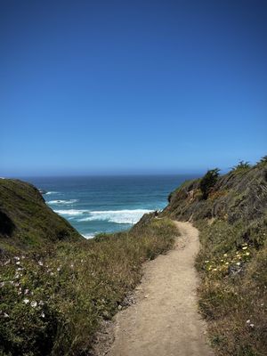 Sand Dollar Beach by null