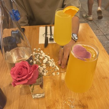 Bloom - Mimosa - American Near Me - Santa Clara, California
