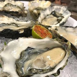 Fresh Baja Oysters Daily.