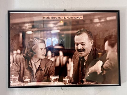 The Hemingway Home and Museum by null