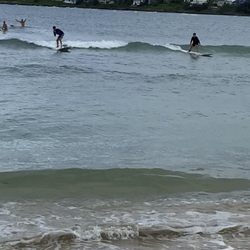 Mikes Surf School