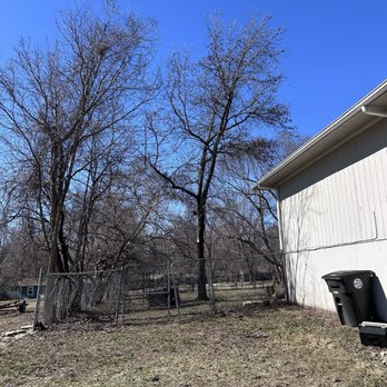 Villagran Tree Service - Left side of house afterwards - Tree Services Near Me