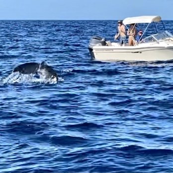 Big Island Shaka - Boat Charters Near Me Big Island Shaka - Boat Charters Near Me