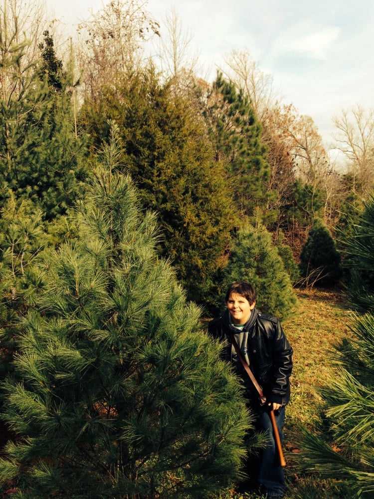 MACEY’S CHRISTMAS TREE FARM Updated September 2024 360 Stampers Bay