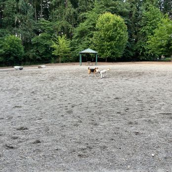 Robinswood Park - Parks Near Me - Bellevue, Washington