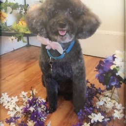 Beauty is looking cute! Thank you!