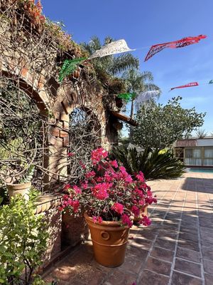Quinta Don Jose Boutique Hotel by null