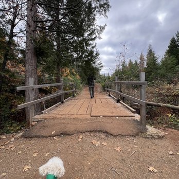 Roberts Christmas Tree Farm - Walk back - Christmas Trees Near Me - Pollock Pines, California Roberts Christmas Tree Farm - Walk back - Christmas Trees Near Me - Pollock Pines, California