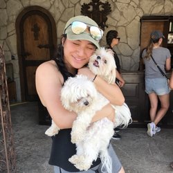 Tunnel Zip Lines - The two out of four of the owners dogs! I think one is named peanut and the other is named stinky!