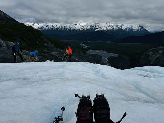 Kenai Fjords National Park by null