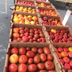 The Patch - Heirloom! So beautiful