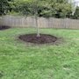 Photo of Green Environment Landscaping & Snow