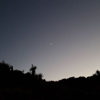 Black Rock Canyon - Hiking Near Me - Yucca Valley, California