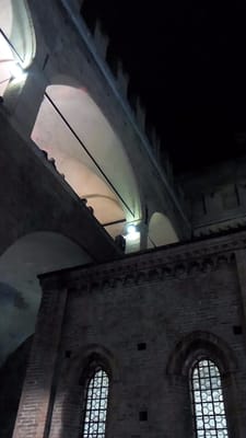 Palazzo Re Enzo by null