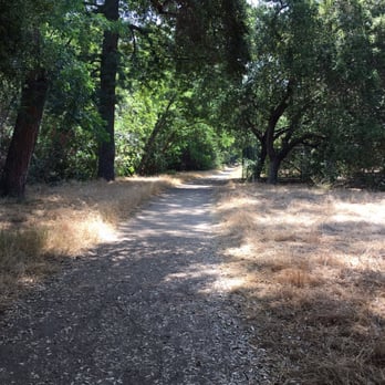 Michael D. Antonovich Trail - Nice shade and trees - Hiking Near Me - San Dimas, California