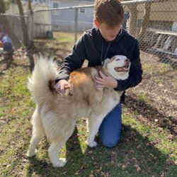 agape animal cremation