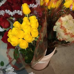 LONG STEM ROSES