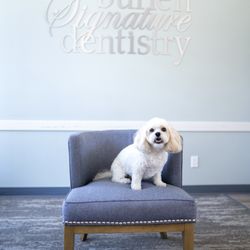 Burien Signature Dentistry