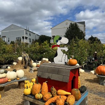 Greenstreet Gardens - Nurseries & Gardening Near Me - Alexandria, Virginia