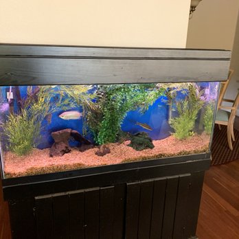 Sublime Aquarium Care - Aquarium Services Near Me Sublime Aquarium Care - Aquarium Services Near Me