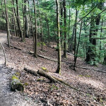 Cedar Falls at Hocking State Park - Hocking hills hiking - Hiking Near Me - Logan, Ohio