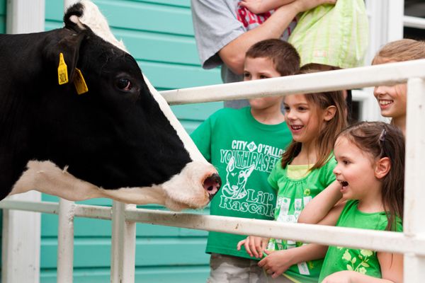 Purina Farms by null