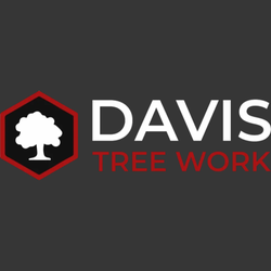 Davis Tree Work