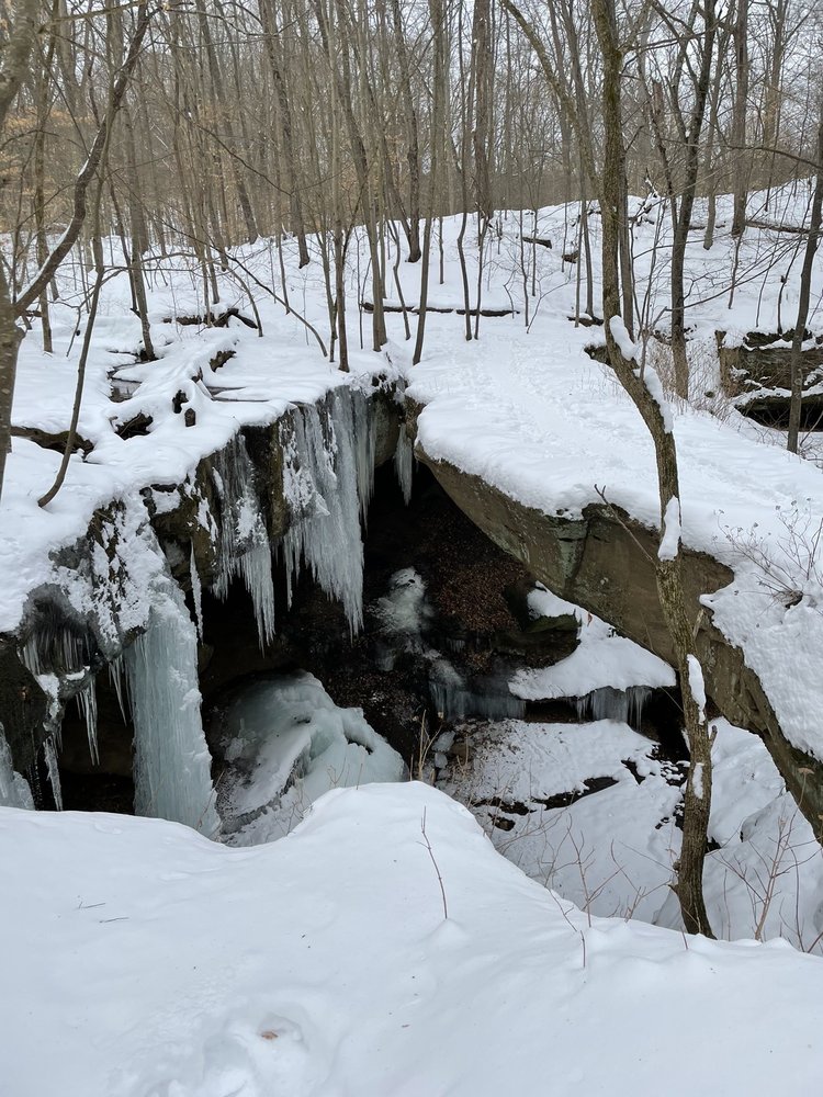 ROCKBRIDGE STATE NATURE PRESERVE Updated October 2024 125 Photos