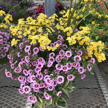 Miller Greenhouse - Nurseries & Gardening Near Me - Grand Blanc, Michigan Miller Greenhouse - Nurseries & Gardening Near Me - Grand Blanc, Michigan